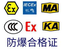 成人看片网站合格證辦理指南